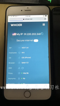 手机网络环境伪装度测试，whoer与上网环境检测大师对比